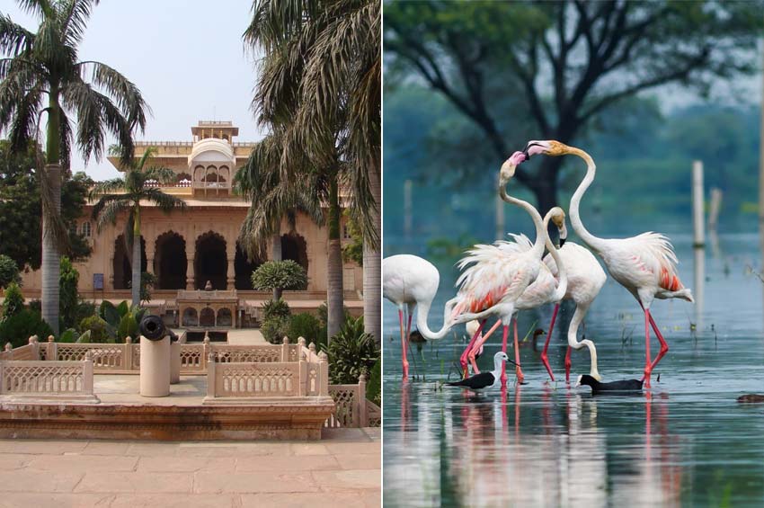 Bharatpur Tour